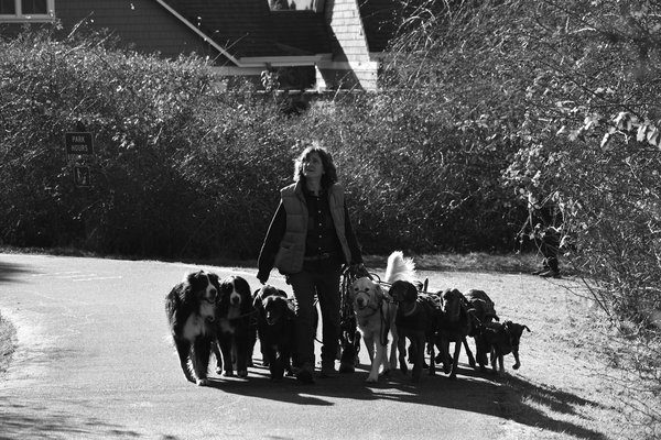 Ultimate cat care: your essential guide to tracking feline breathing and identifying respiratory problems at home